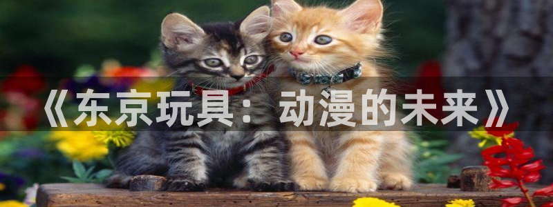 最新樱花动漫