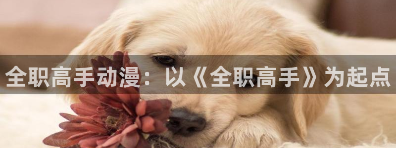 壳中小鸟动漫樱花动漫