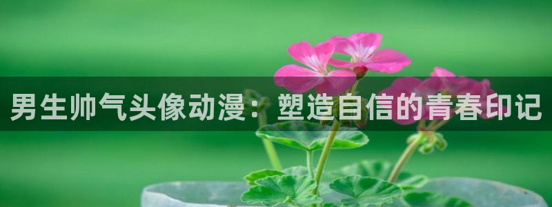 樱花动漫官方
