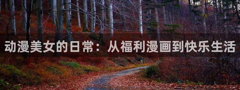 全职高手第三季樱花动漫