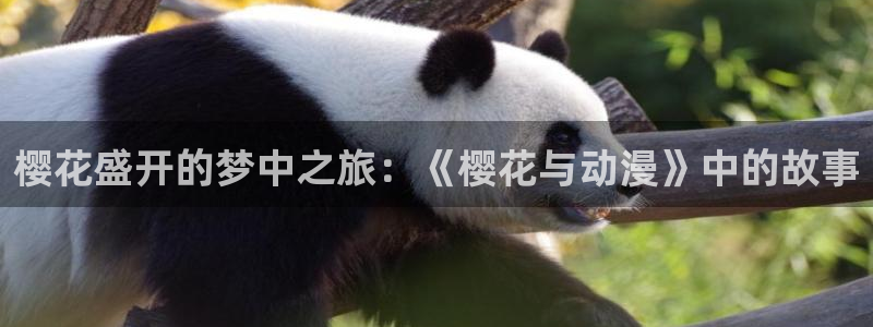 樱花动漫官网最新版