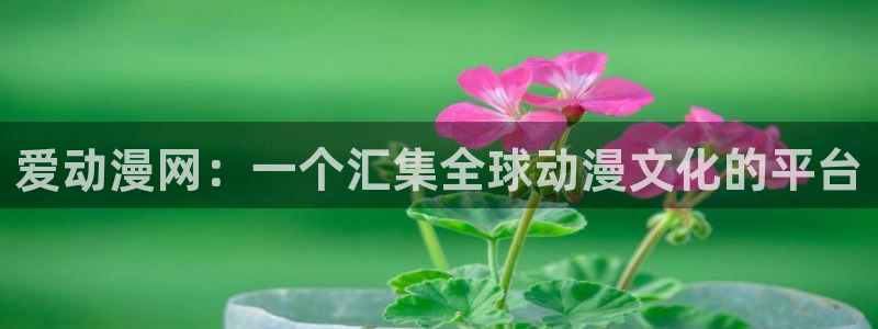 樱花动漫 网