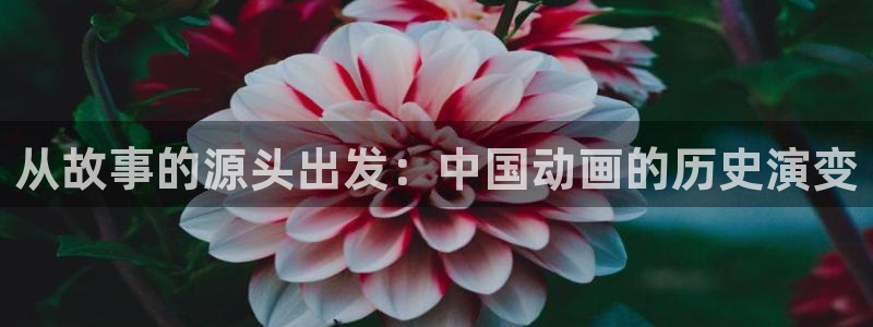 樱花动漫频道