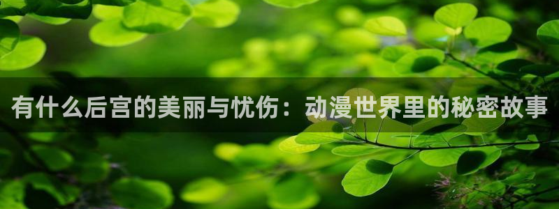装甲骑女第一季樱花动漫：有什么后宫的美丽与忧伤：动漫世界里的秘密故事