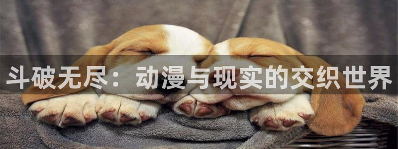 在世界尽头咏唱樱花动漫：斗破无尽：动漫与现实的交织世界