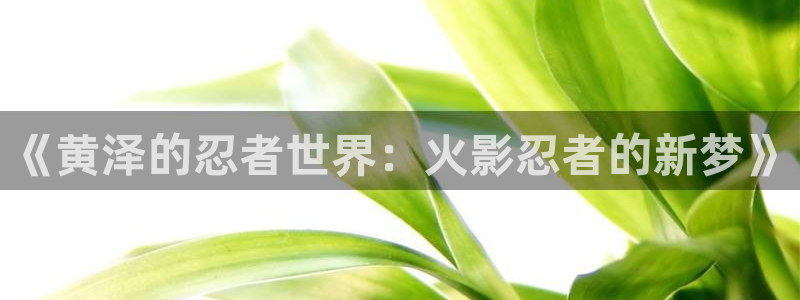 游戏人生zero樱花动漫：《黄泽的忍者世界：火影忍者的新梦》