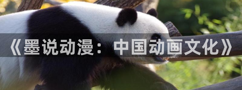 你所不知道的童话故事樱花动漫在线观看：《墨说动漫：中国动画文化》