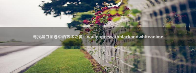日本动漫樱花动漫官网：寻找黑白画卷中的艺术之美：wallpaperswithblackandwhiteanime