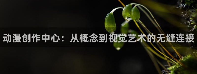 樱花动漫之后宫露营：动漫创作中心：从概念到视觉艺术的无缝连接
