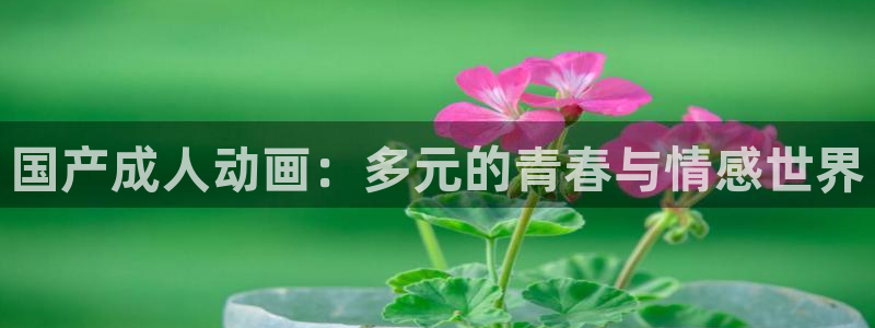 樱花动漫immion入口：国产成人动画：多元的青春与情感世界