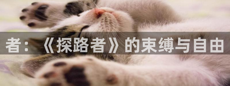 乱马12樱花动漫：者：《探路者》的束缚与自由
