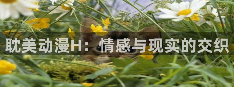 樱花动漫app安卓版下载：耽美动漫H：情感与现实的交织