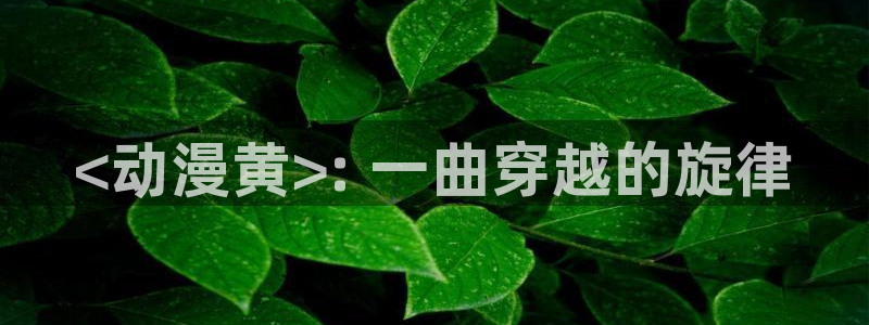 龙珠z樱花动漫免费观看：<动漫黄>: 一曲穿越的旋律