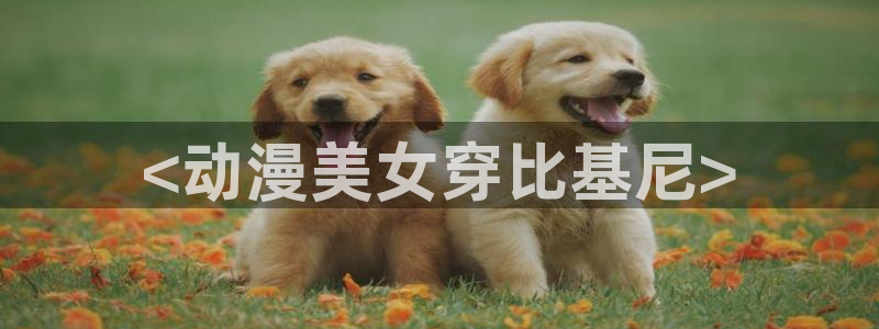 一拳超人第一季樱花动漫：<动漫美女穿比基尼>