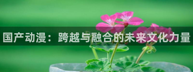 弦音樱花动漫：国产动漫：跨越与融合的未来文化力量