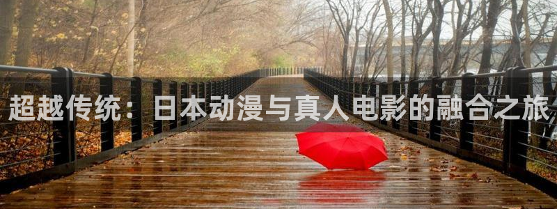 全职法师樱花动漫第二季：超越传统：日本动漫与真人电影的融合之旅