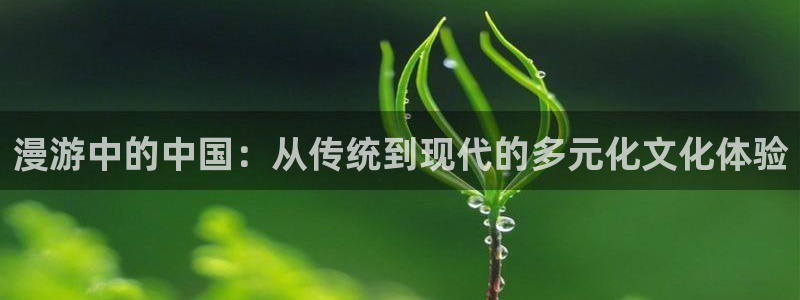 masterpiece 樱花动漫：漫游中的中国：从传统到现代的多元化文化体验
