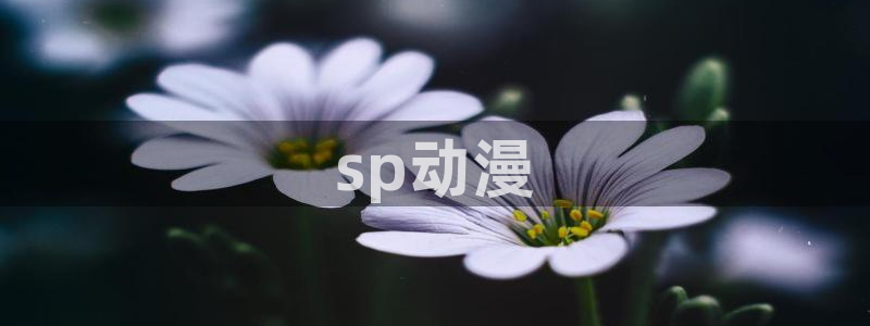 纯洁轮舞曲樱花动漫：sp动漫