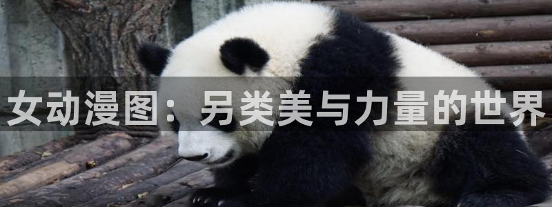 名侦探柯南在线观看樱花动漫：女动漫图：另类美与力量的世界