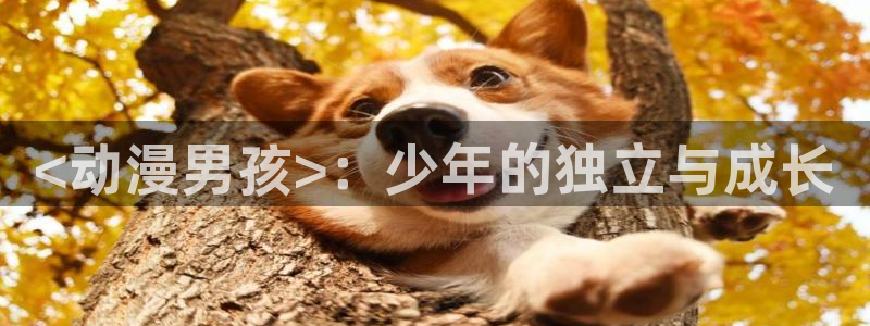 你所不知道的童话第三集樱花动漫：<动漫男孩>：少年的独立与成长