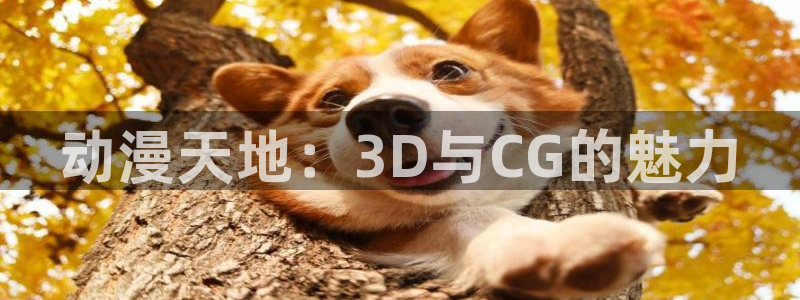 樱花动漫关官网：动漫天地：3D与CG的魅力