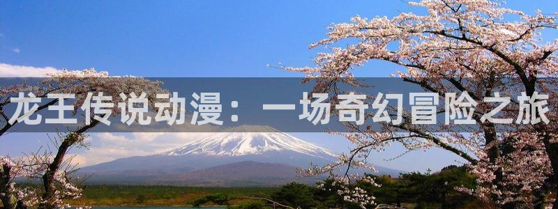 无职转生第二季樱花动漫2024：龙王传说动漫：一场奇幻冒险之旅