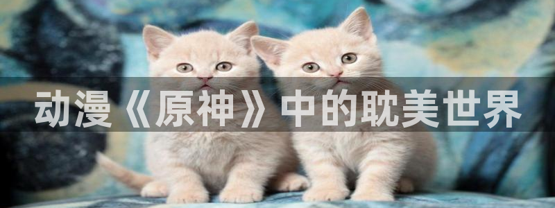动漫樱花动漫：动漫《原神》中的耽美世界