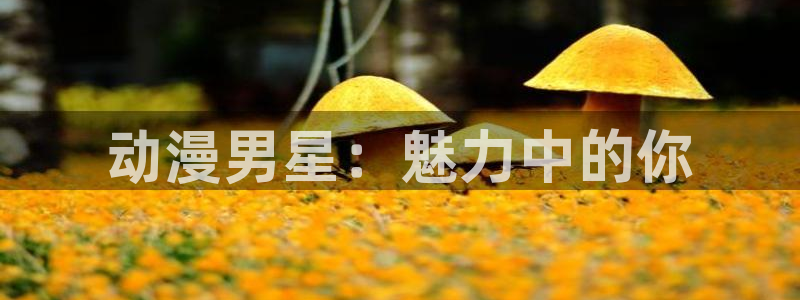 樱花动漫 免费视频：动漫男星：魅力中的你