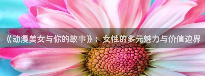 航海王免费观看樱花动漫版：《动漫美女与你的故事》：女性的多元魅力与价值边界