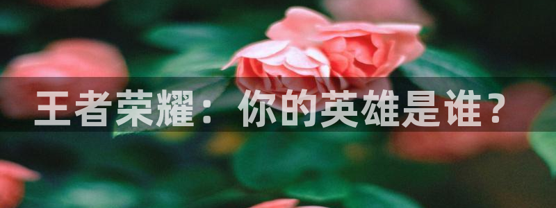 xxx樱花动漫：王者荣耀：你的英雄是谁？