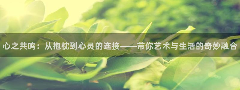满怀美梦的少年是现实主义者樱花动漫：心之共鸣：从抱枕到心灵的连接——带你艺术与生活的奇妙融合