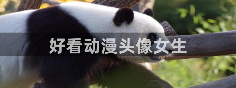 樱花动漫图片：好看动漫头像女生