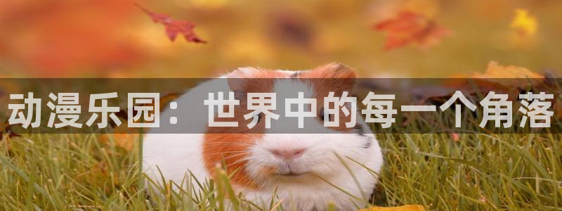 遮天樱花动漫免费观看全集高清：动漫乐园：世界中的每一个角落